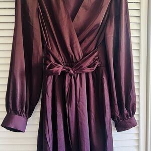 Express Purple Long Sleeve, silky, wrap dress